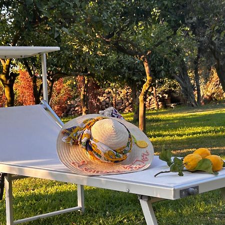 Bed and breakfast Lemon Factor Sorrente Extérieur photo